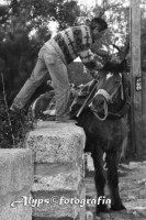 /album/p-b/montar-o-cavalinho-jpg1/